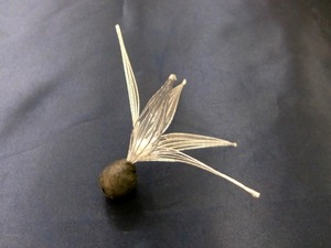 CIMG5716