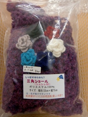CIMG5754