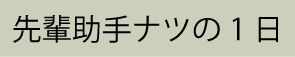 先輩助手ナツの一日