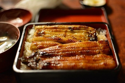 ビタミンAを多く含むウナギ