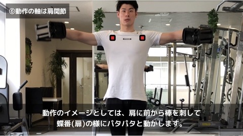 サイドレイズは肩関節を動作の軸にしよう