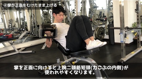 インクラインカールでは掌を正面に向けて上腕二頭筋短頭を刺激する