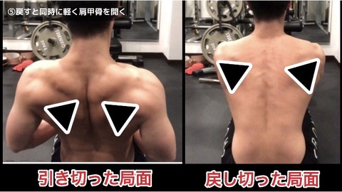 シーテッドロウでの肩甲骨の位置