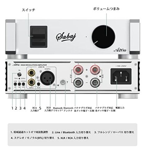 Sabaj A20a 2022バージョン デジタルアンプ登場！ : まいまい 