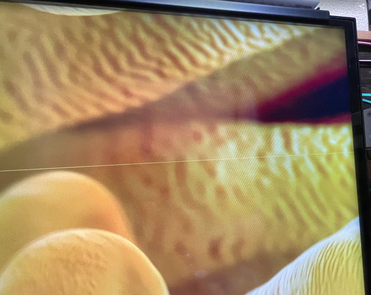 ハイセンスのU7Hテレビの画面に横線が・・・ : まいまい