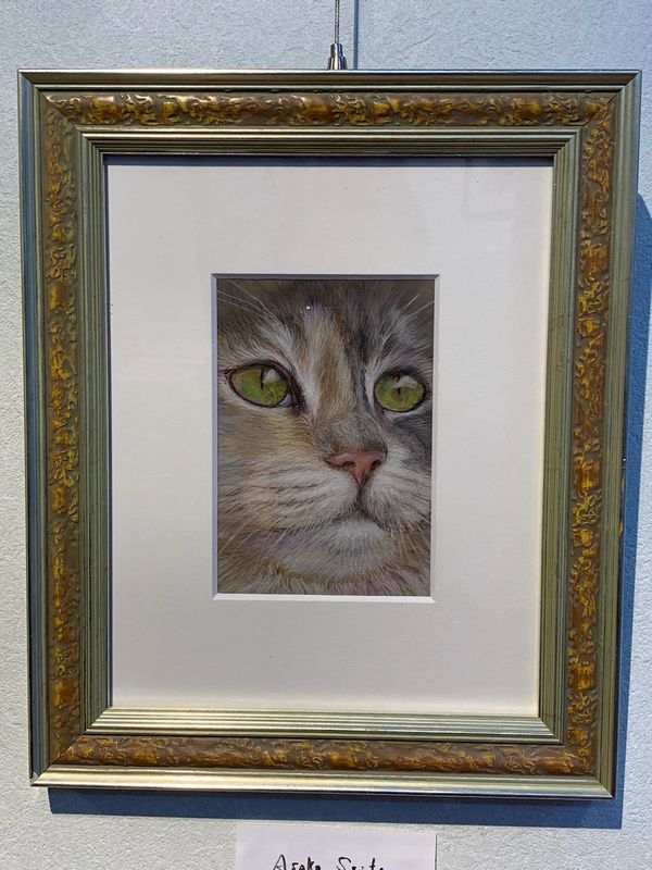 【浅草寺】　絵　色紙　額　額縁 浅草寺】 絵 色紙 額 額縁 浅草寺】 絵 色紙 額 額縁 Amazon.co.jp