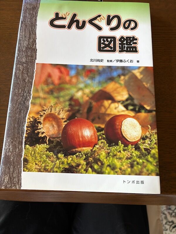 どんぐりの本が来た : マック家の雑記帳