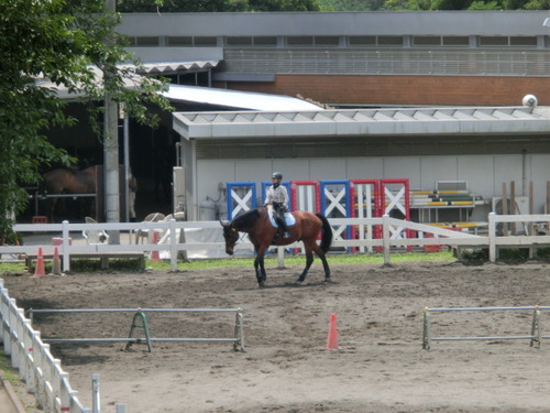 CIMG1445