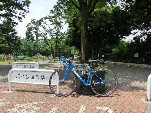 新横浜 公園 自転車