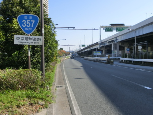 357 号線 自転車 お 台場