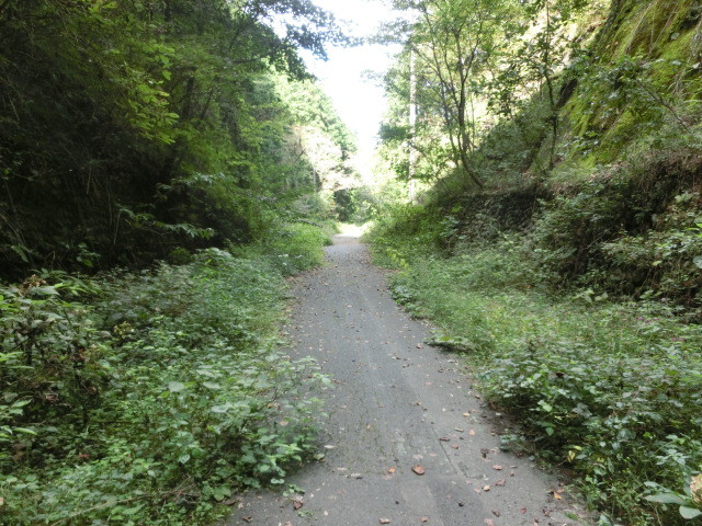 心霊スポット 旧吹上トンネルと旧道探索 マッキータウンぶろぐ 東京近郊自転車コースガイド 心霊スポット 旧吹上トンネルと旧道探索 マッキータウンぶろぐ 東京近郊自転車コースガイド