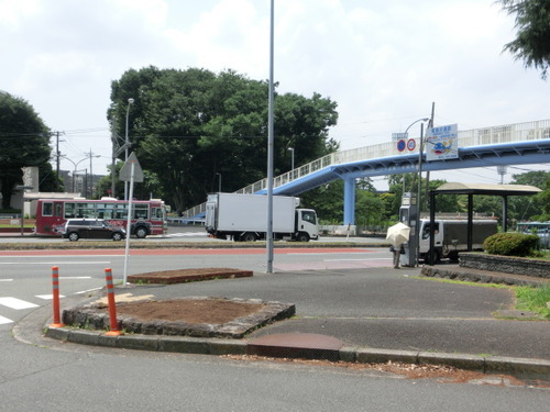 CIMG1455
