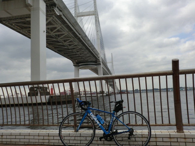 衝撃的な橋に出合った マッキータウンぶろぐ 東京近郊自転車コースガイド 衝撃的な橋に出合った マッキータウンぶろぐ 東京近郊自転車コースガイド
