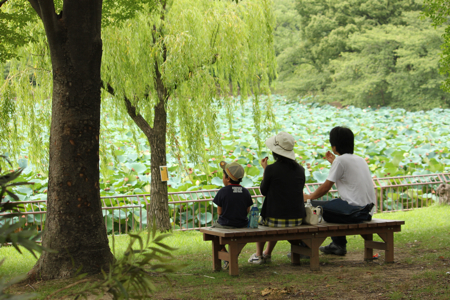 ��̣������