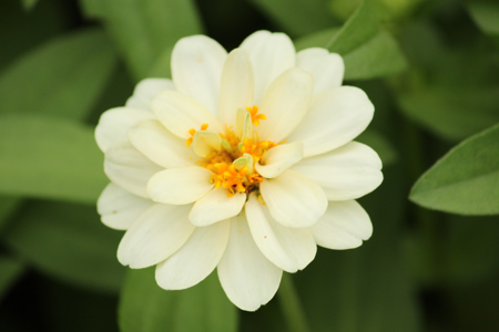 �İ�������