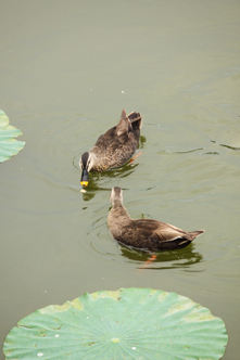 �¤��ä���