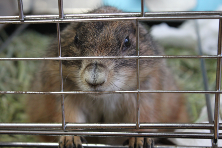 �ס������1