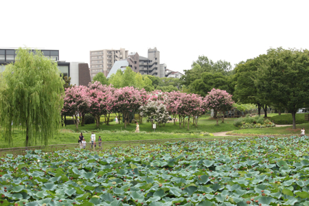 ���뤹�٤�ȥϥ�