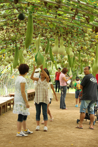 �ȥ�ͥ����