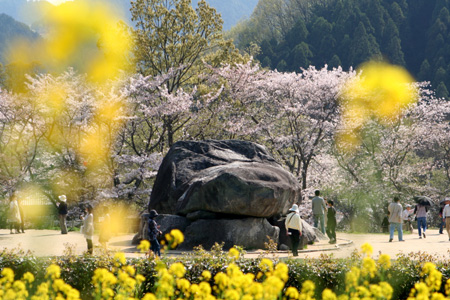 �ڤβ֤η�֤���