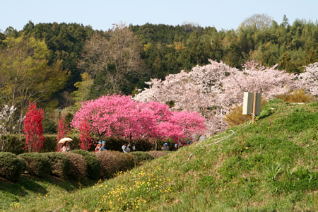 ����������⡦�ϥʥ��