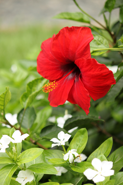 ���ä���