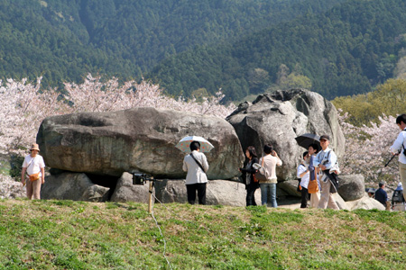 ������Ⱥ�