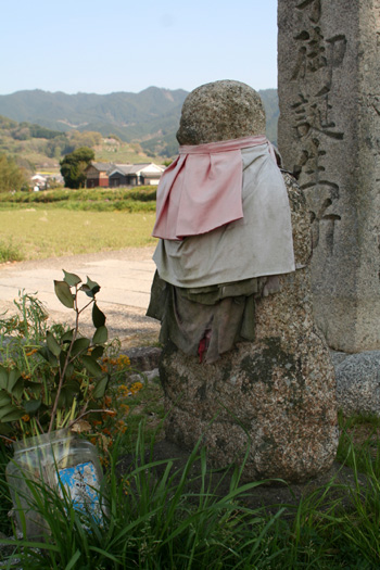 ����¢����