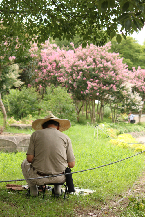 �����å�