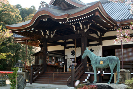 ��Ʋ�ȹ���