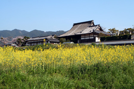 �̻��Ⱥڤβ�