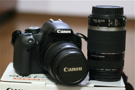 �����ȥ��