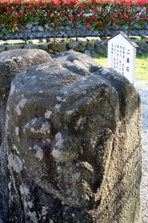 �����Ф�����