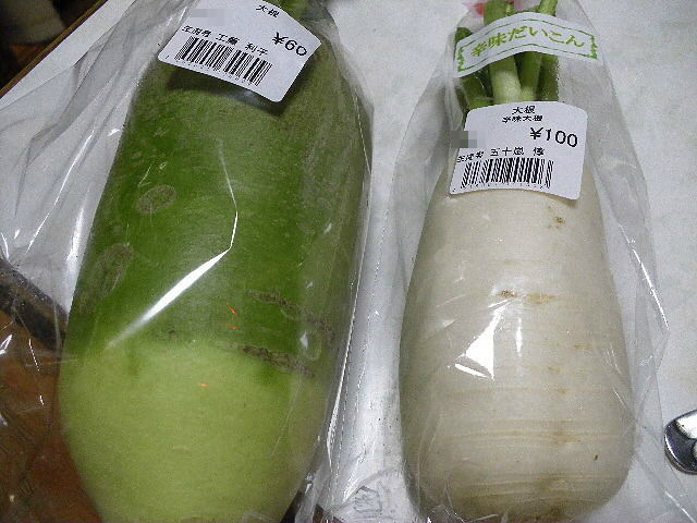 辛味大根とビタミン大根 マッキ色 2nd Stage