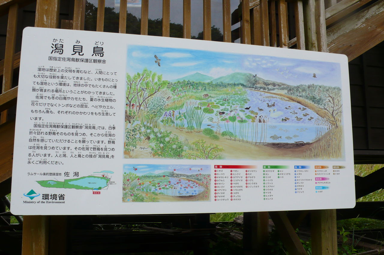 新潟市 ハーブランドシーズン マッキ色 2nd Stage