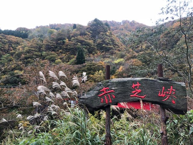 赤芝峡 マッキ色 2nd Stage
