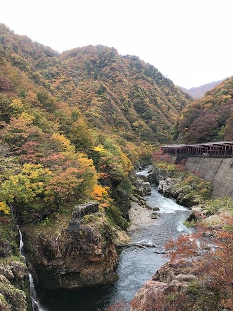 赤芝峡 マッキ色 2nd Stage