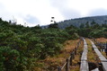 hatimantai (55)