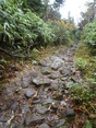 hatimantai (39)