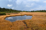 hatimantai (48)