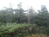 hatimantai (29)