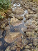 hatimantai (45)