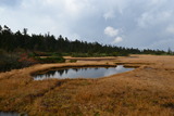hatimantai (51)