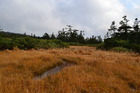 hatimantai (60)
