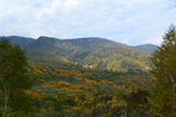 hatimantai (6)