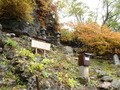 2011nasu (3)