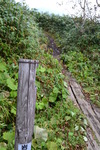 hatimantai (7)
