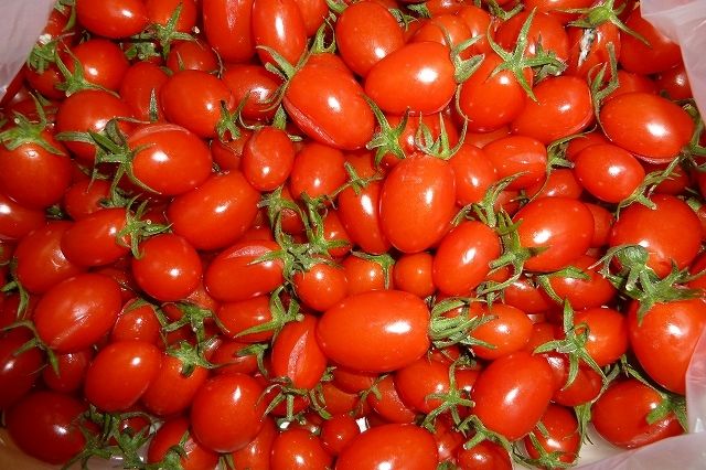 感動しました 素晴らしい ドライトマト 和歌山で遊ぼう