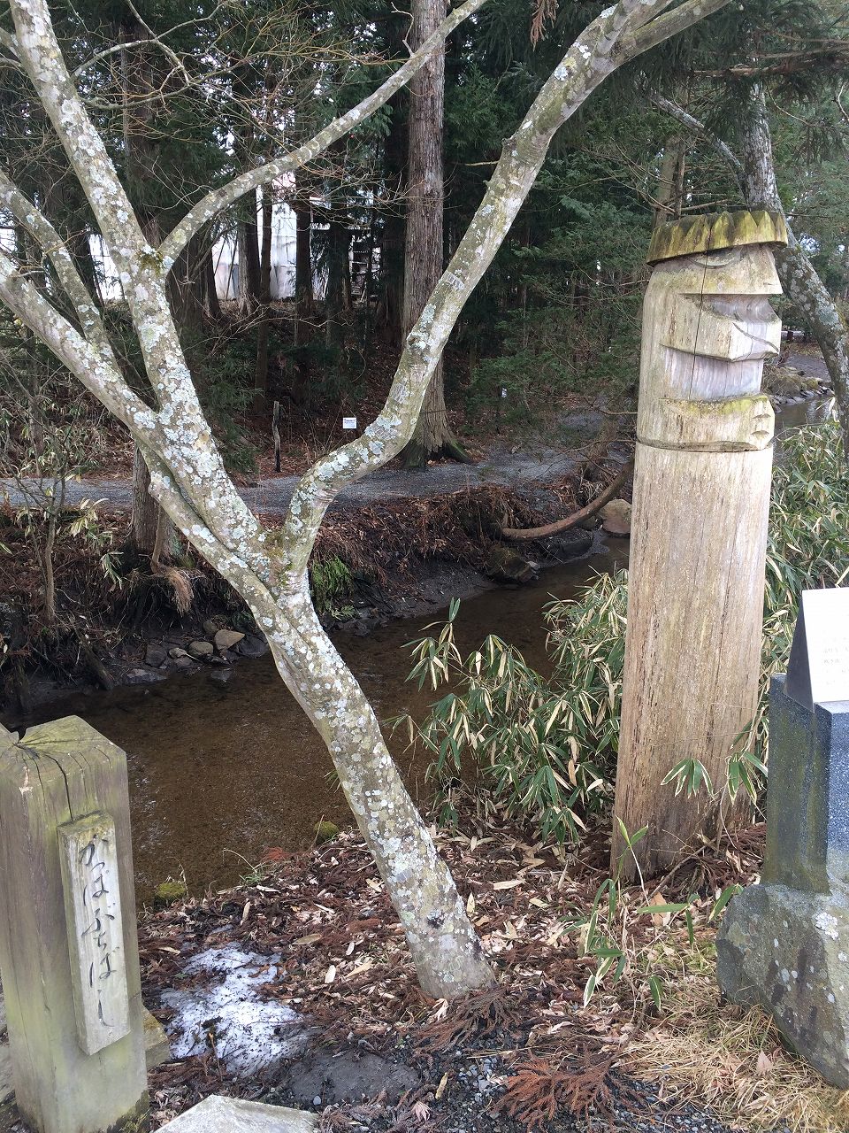 カッパ淵 にとり すくすくにとり まっくの徒然日記