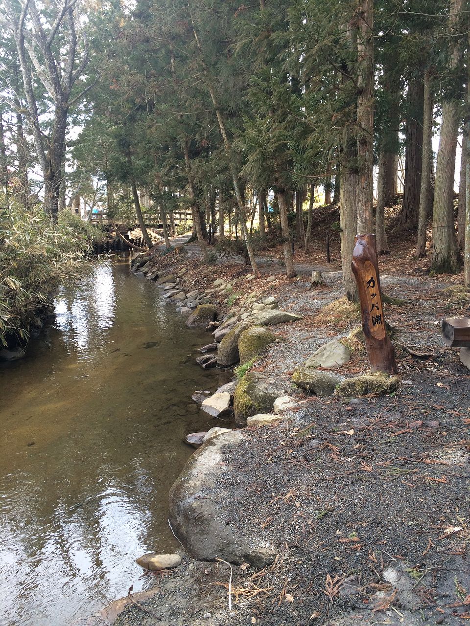 カッパ淵 にとり すくすくにとり まっくの徒然日記